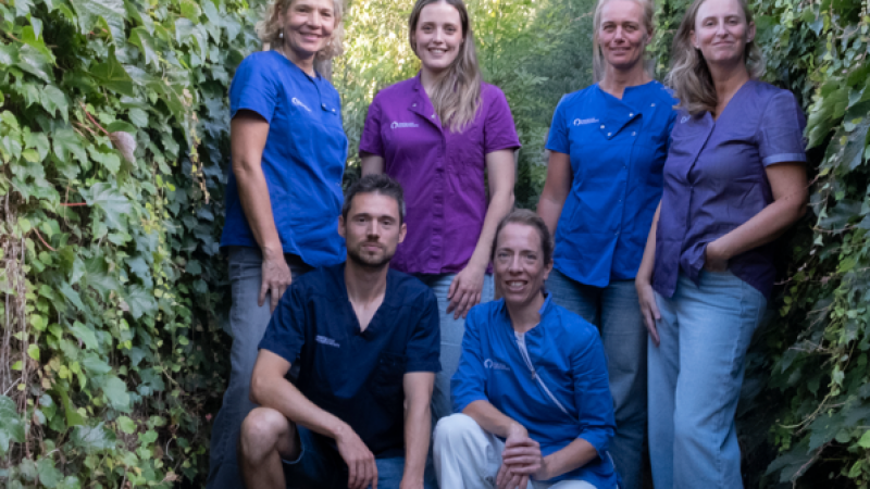 Ons team. 4