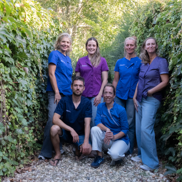 Ons team. 4